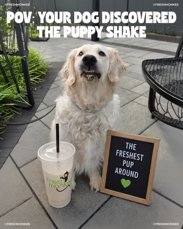 Treat yourself and your pup🧋🐶 

You get real protein, made fresh and they get a vet-approved Puppy Shake. Everybody wins💚